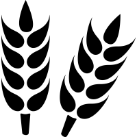  Vector