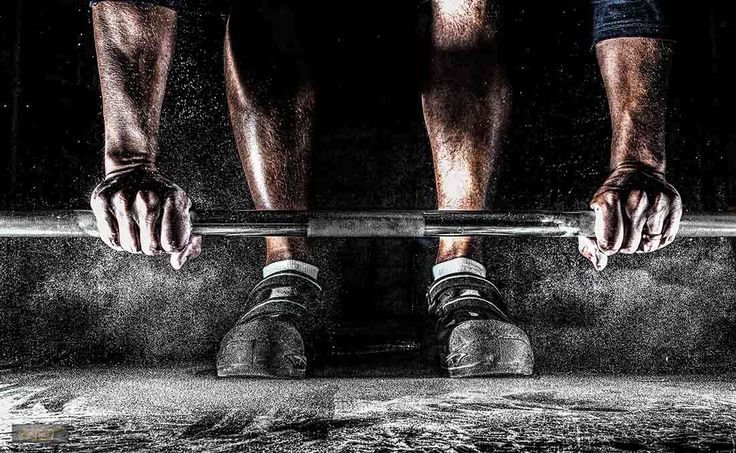 Fitness & Sports